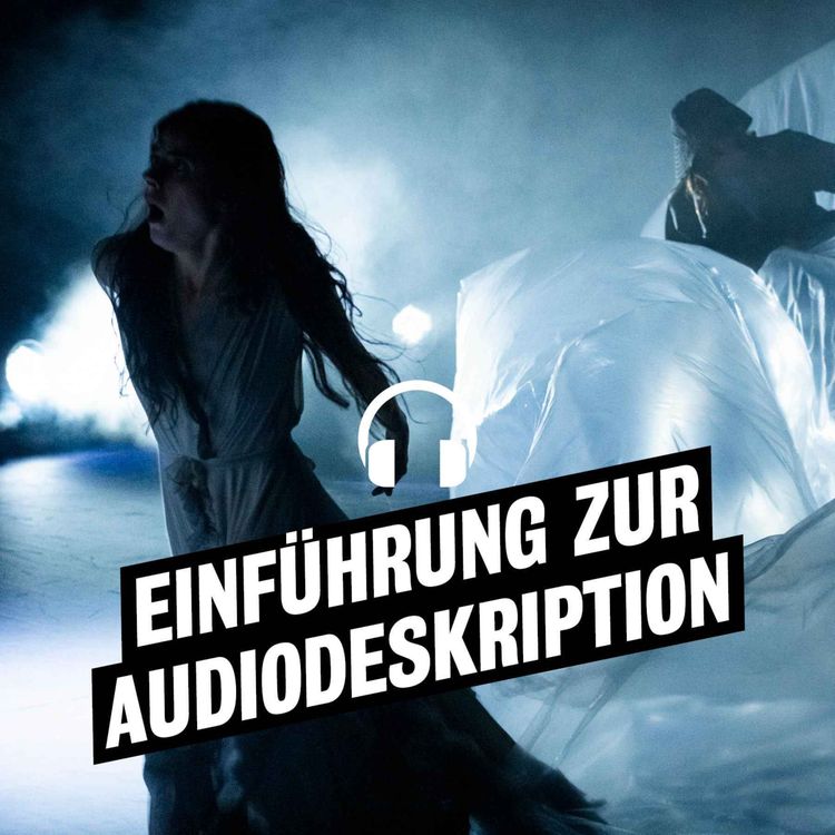 cover art for Audiodeskriptive Einführung zu "Was ihr wollt"