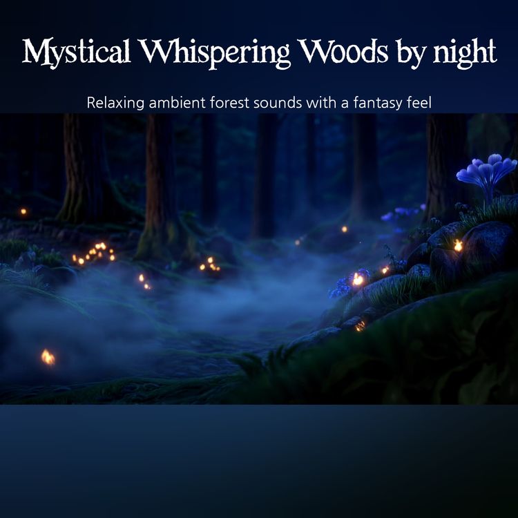 cover art for 🎧Mystical Whispering Woods by night
