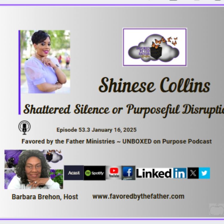 cover art for Shattered Silence or Purposeful Disruption