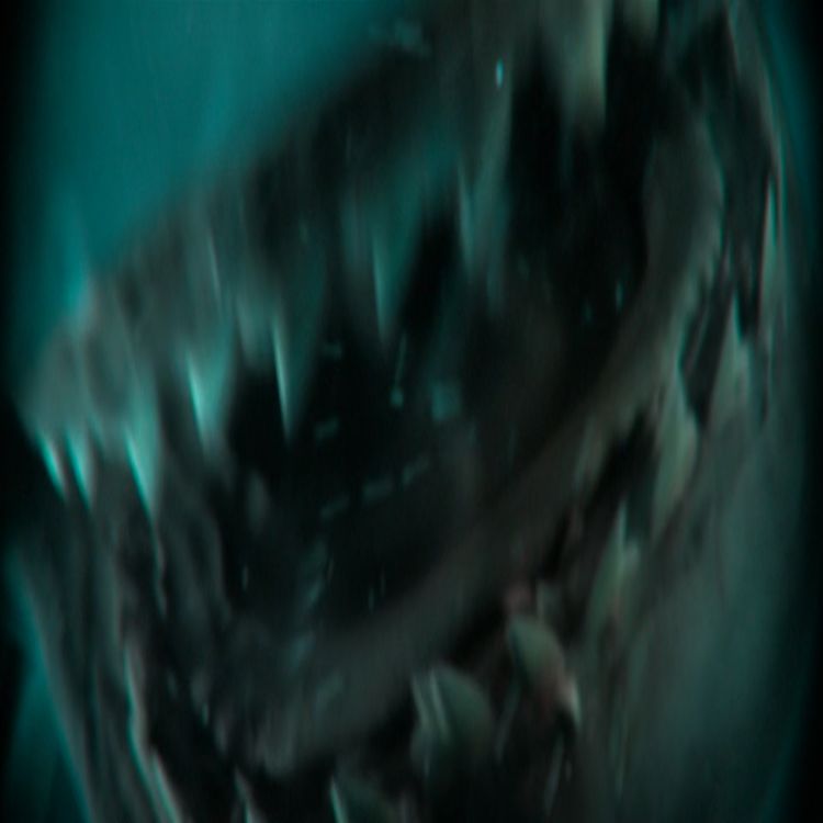 cover art for No Way Up (2024)