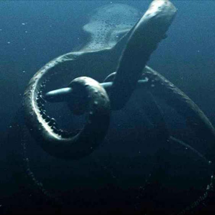 cover art for Mega Shark Vs Giant Octopus (2009)