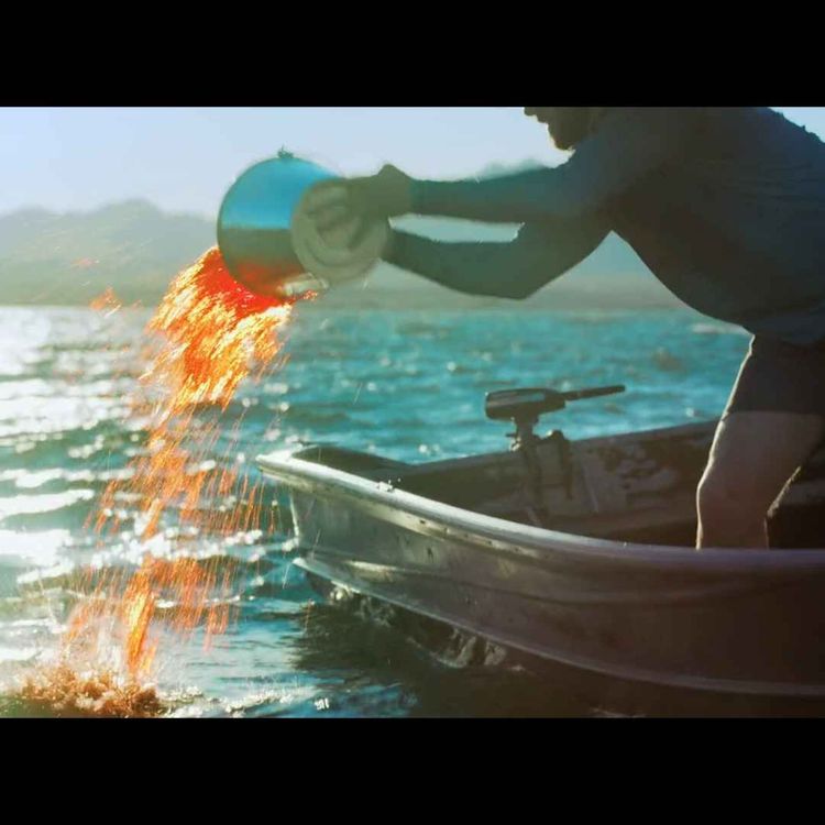 cover art for Shark Warning (2024)