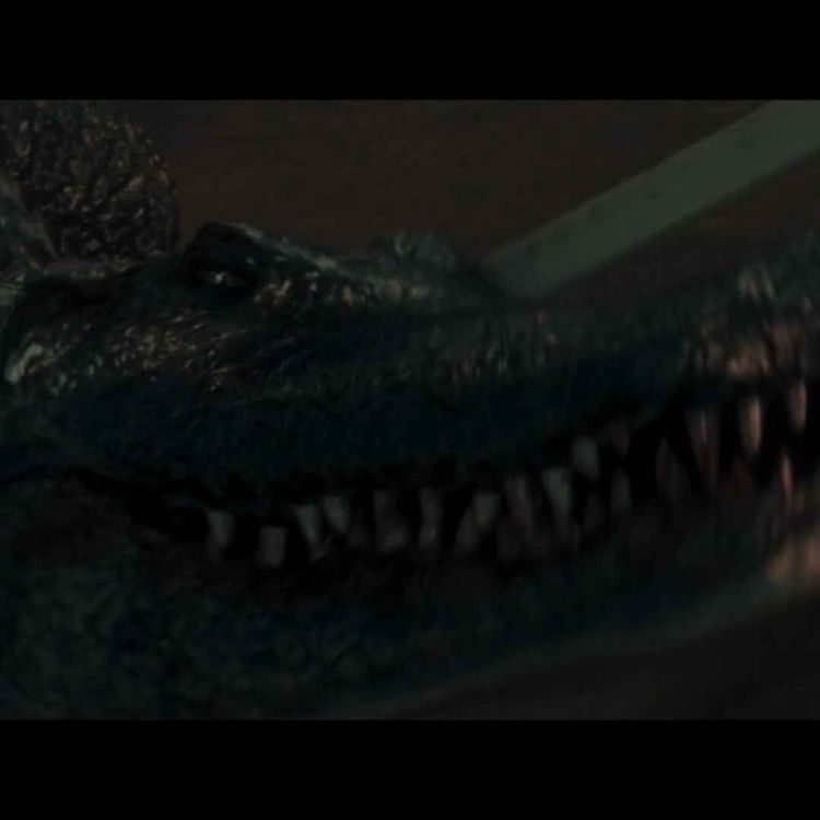 cover art for The Flood (2023)