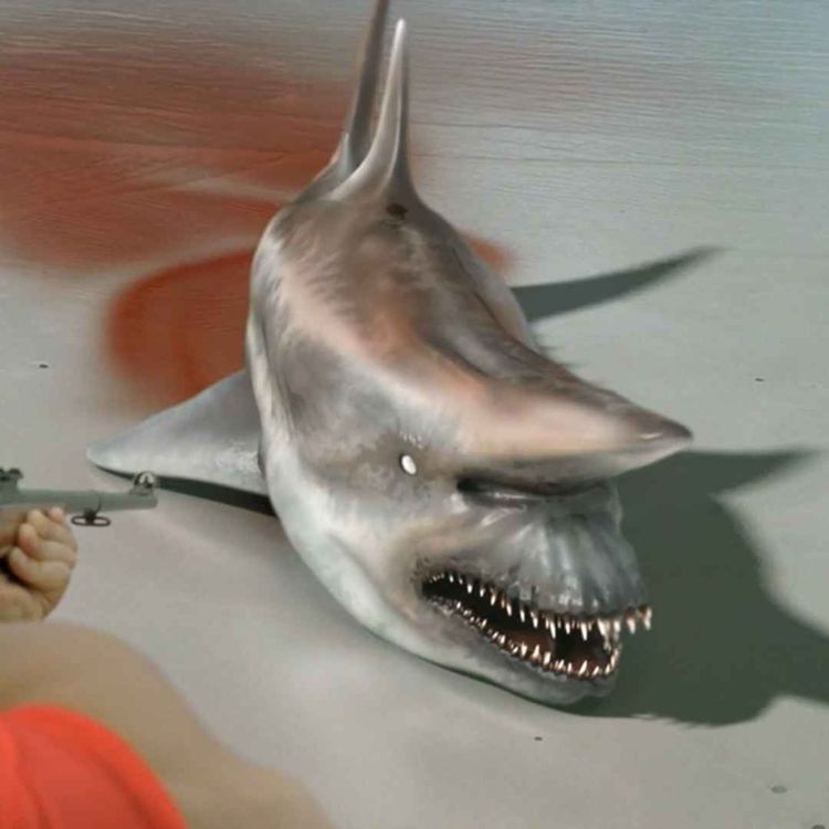 cover art for Malibu Shark Attack (2009)