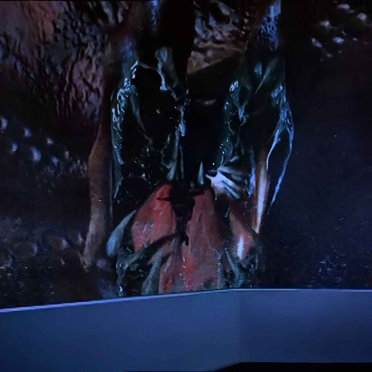 cover art for Octopus (2000)