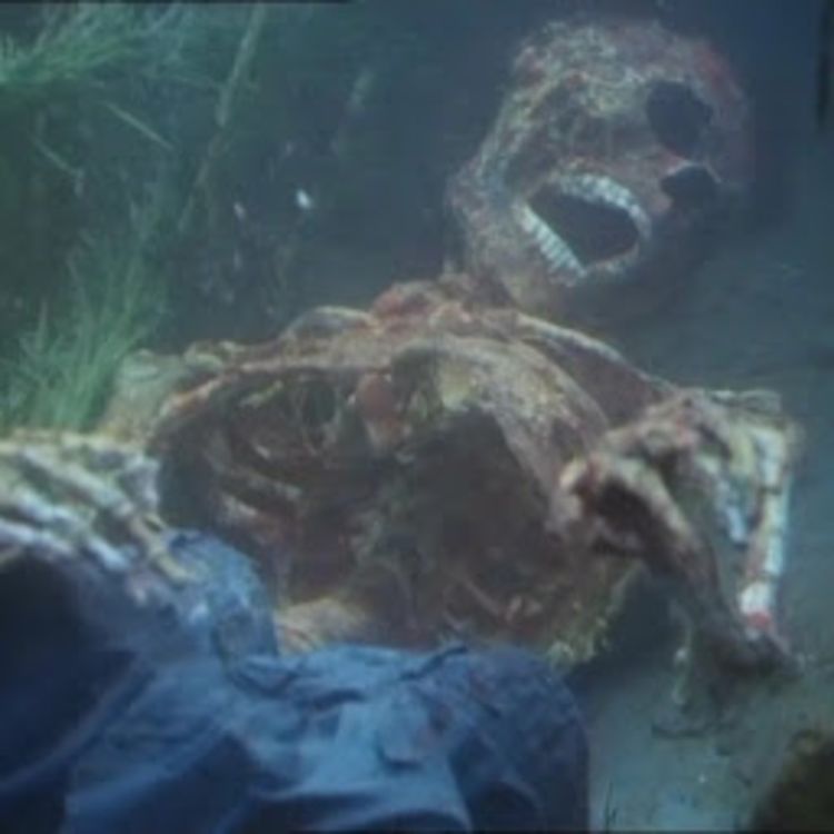 cover art for Killer Fish (1979)