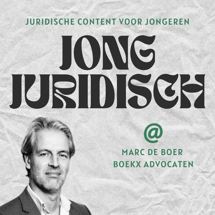 cover art for Marc de Boer - Mediarecht, de asielcrisiswetgeving vanuit juridisch perspectief, NCTV-medewerker ontslagen wegens spionage en jongeren beschermen tegen juicechannels 