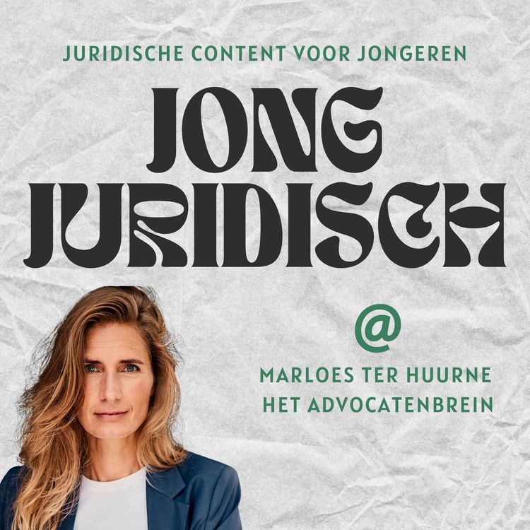 cover art for Marloes ter Huurne - Het Advocatenbrein, onderhandelen, ongelukkige advocaten, boete voor Netflix en cultuurverschil tussen Belgen en Nederlanders