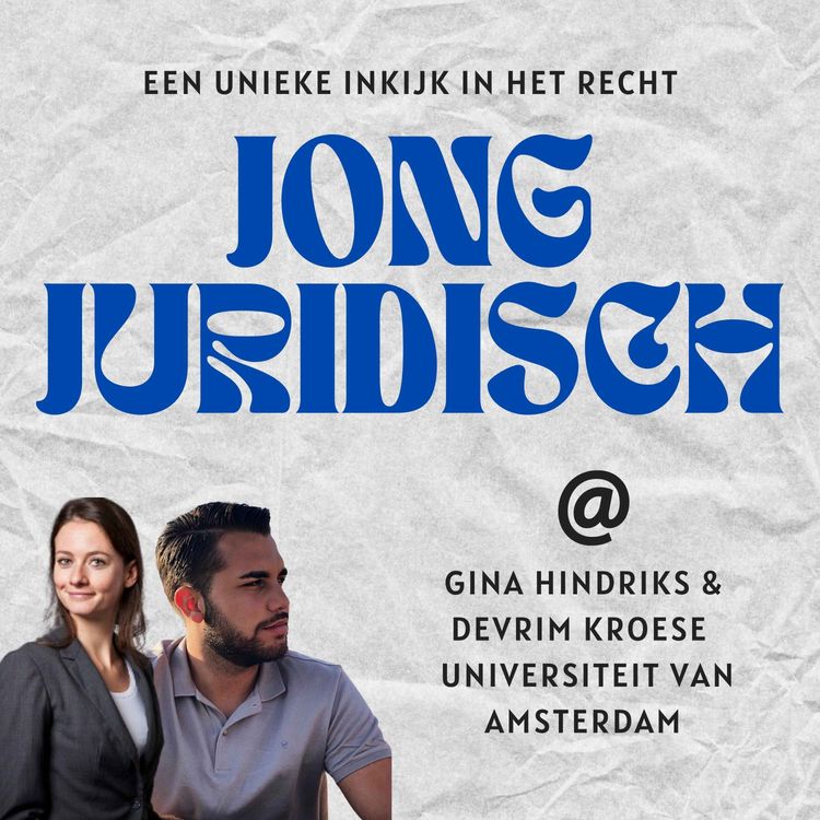 cover art for Gina Hindriks & Devrim Kroese - Aansprakelijkheid in het verkeer, sport- en spelsituaties, shockschade, schadevergoeding & meer 