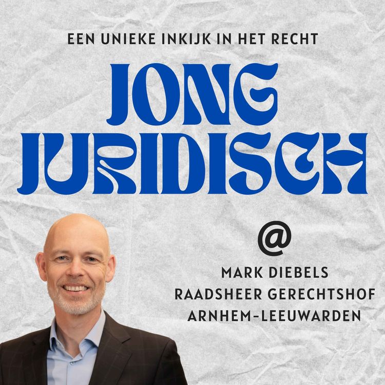 cover art for Mark Diebels - Alle stappen van het worden van rechter, van advocaat naar rechter, boetes voor Apple en Meta en steekpartij in Nieuw-Vennep