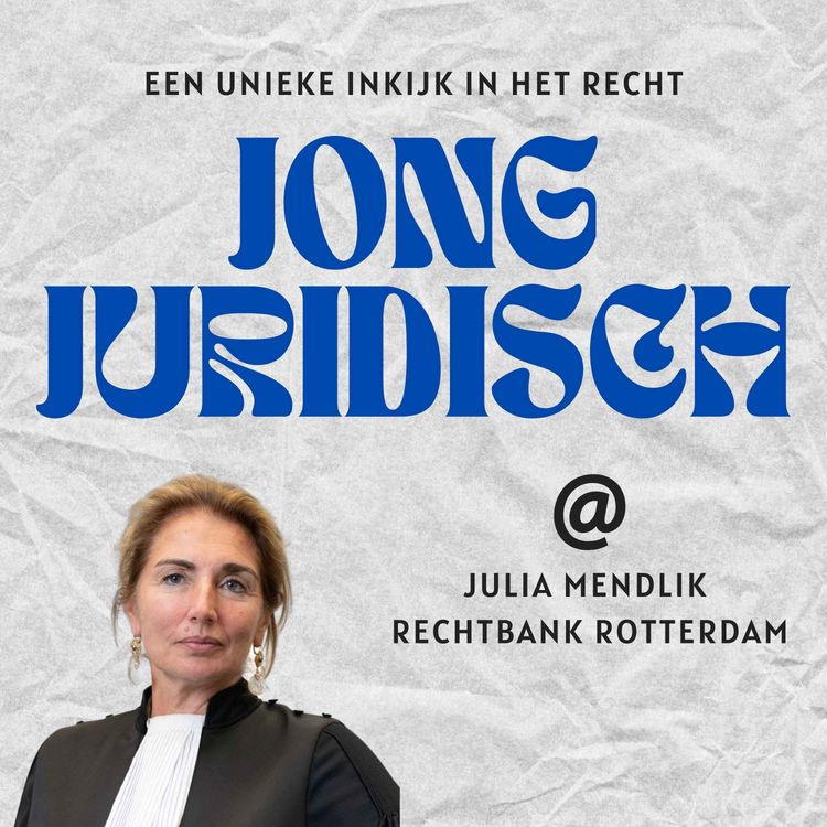 cover art for Julia Mendlik - De rechtsstaat onder druk, bedreigde rechters en het recht dichter bij mensen brengen