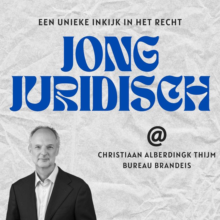 cover art for Christiaan Alberdingk Thijm - Twee kantoren, twee romans, collectieve acties tegen Meta en TikTok en waarom Europa zelfverzekerder mag zijn