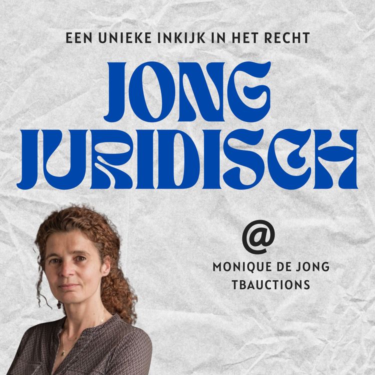 cover art for Monique de Jong - Toezicht bij de AFM, een verdwenen bank en veilingrecht
