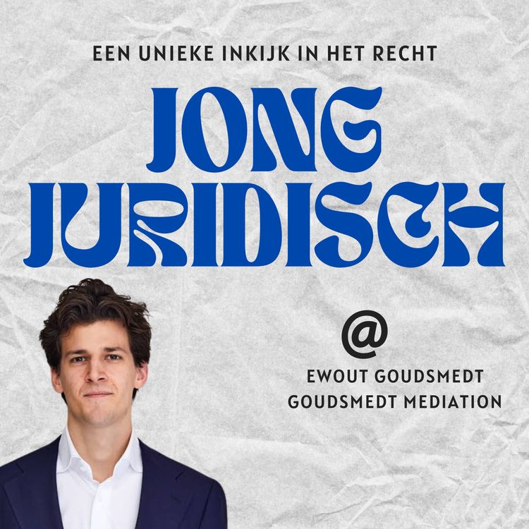 cover art for Ewout Goudsmedt - Mediation, onderhandelen en waarom 100% gelijk hebben je niets oplevert