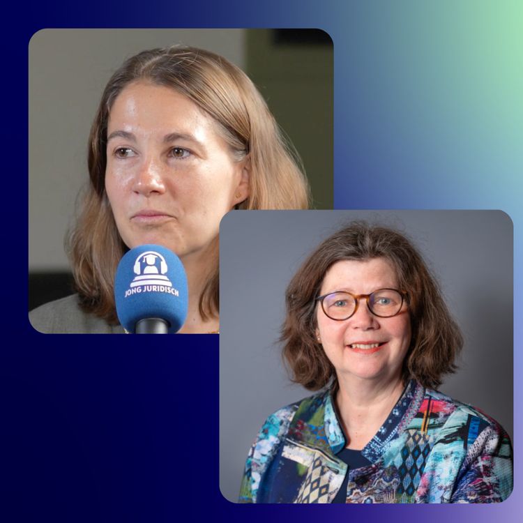 cover art for Roos van den Wildenberg en Karin Frikkee - Kinderrechter, een bom voor 200 euro en de dollemansrit in een Tesla