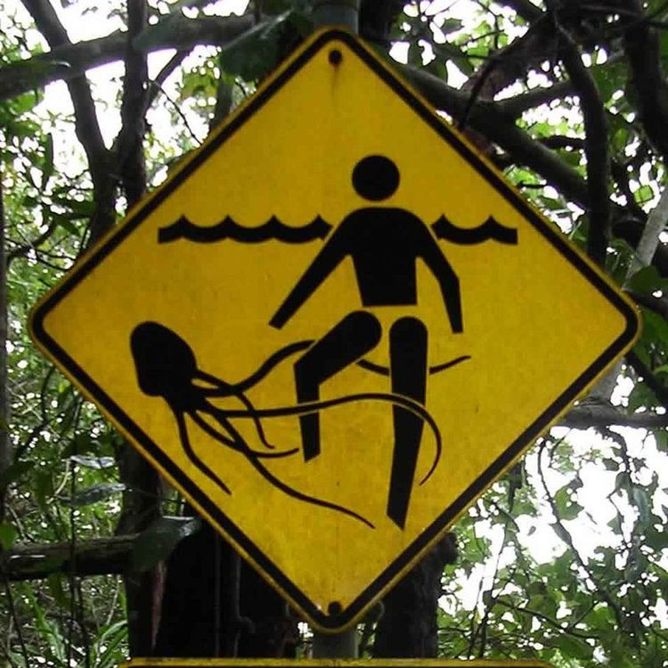 cover art for Jellyfish Horror Stories: Four Deadly Encounters