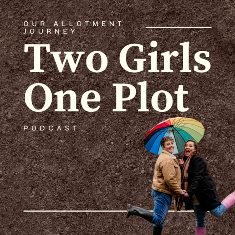 cover art for The one with the allotment tidy up, the tomatoes and the courgettes