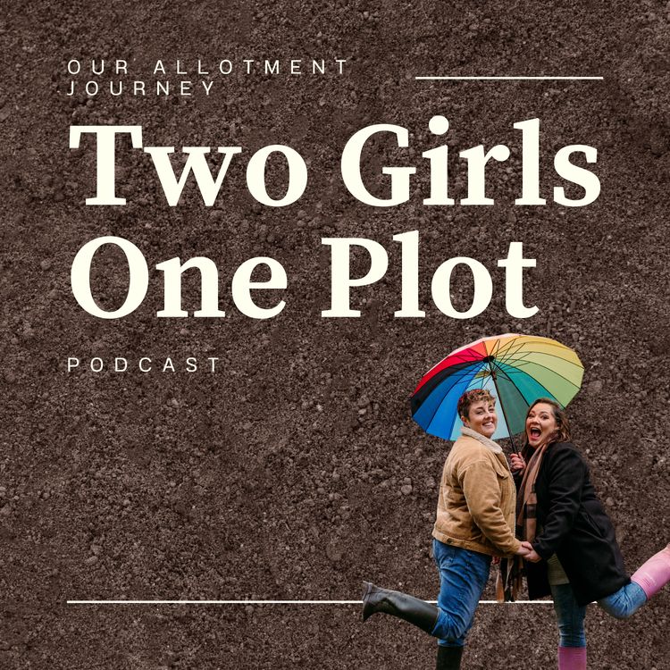 cover art for The one with the tomatoes