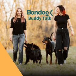 cover art for Buddy Talk