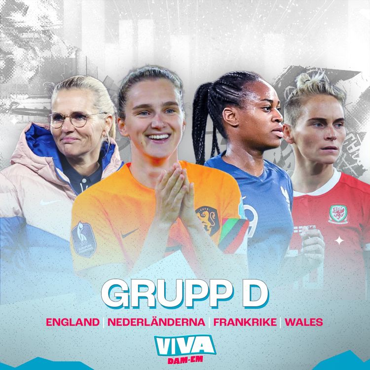 cover art for Viva Dam-EM - Grupp D