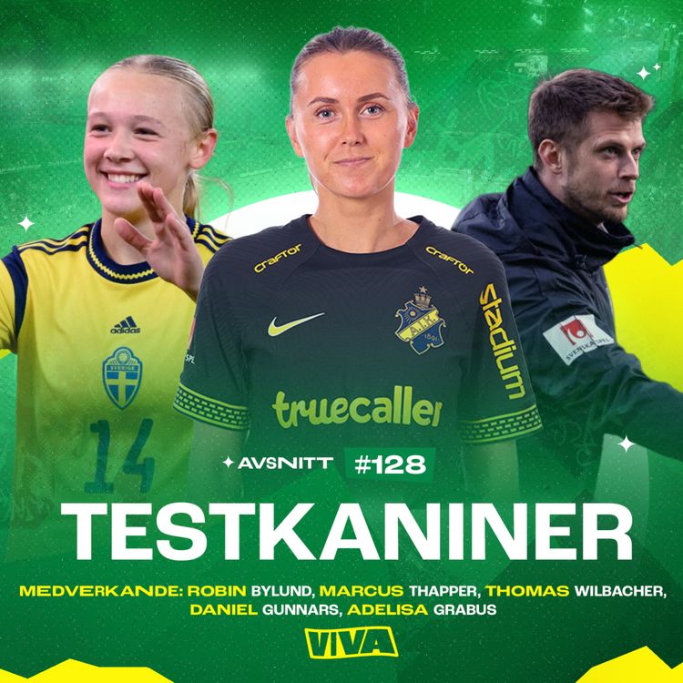 cover art for 128. Testkaniner