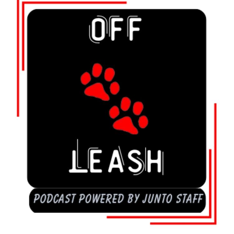 cover art for December ‘24