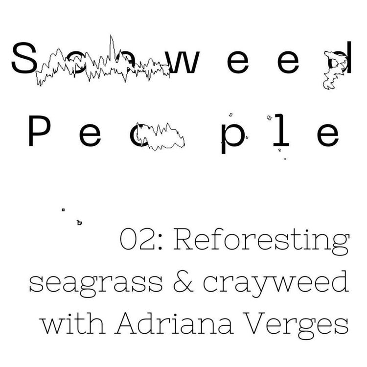 cover art for Reforesting seagrass & seaweed with Professor Adriana Verges