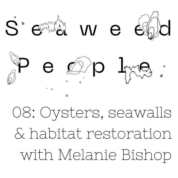 cover art for Oysters, seawalls & habitat restoration with Prof Melanie Bishop