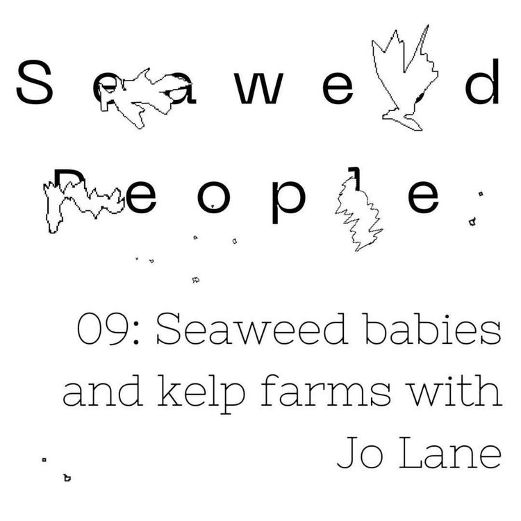 cover art for Seaweed babies & kelp farms with Jo Lane