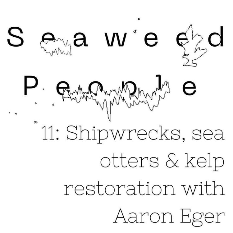 cover art for Shipwrecks, sea otters & kelp restoration with Aaron Eger (Kelp Forest Alliance)