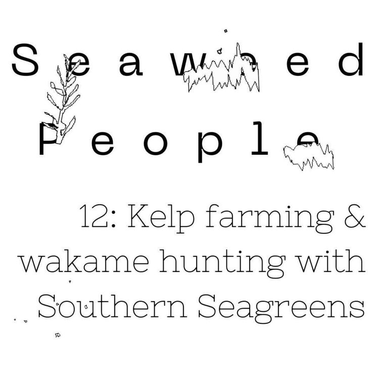 cover art for Kelp farming & wakame hunting with Southern Seagreens