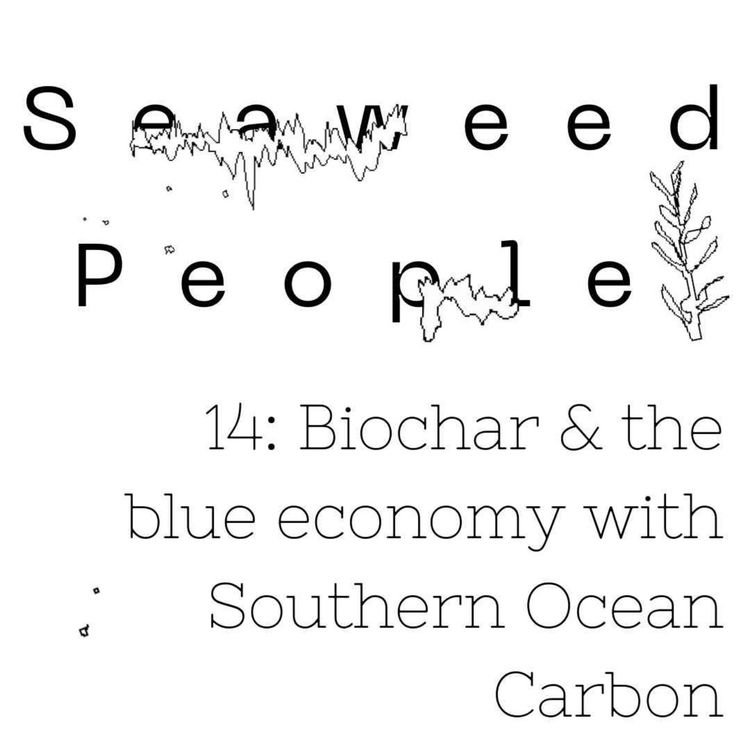 cover art for Biochar & the blue economy with Southern Ocean Carbon