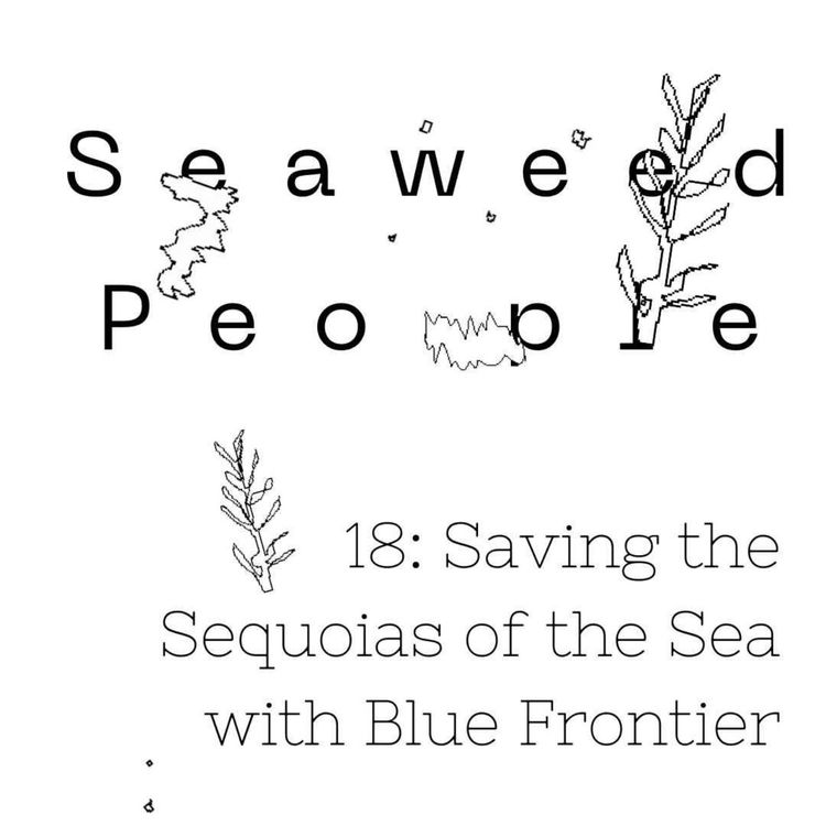 cover art for Saving the Sequoias of the Sea with Blue Frontier