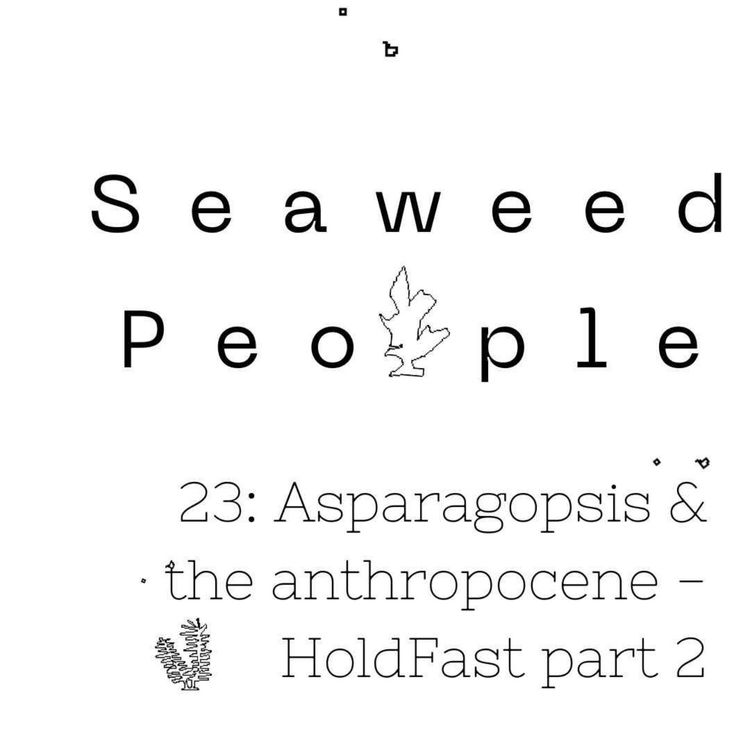 cover art for Asparagopsis & the anthropocene - HoldFast part 2