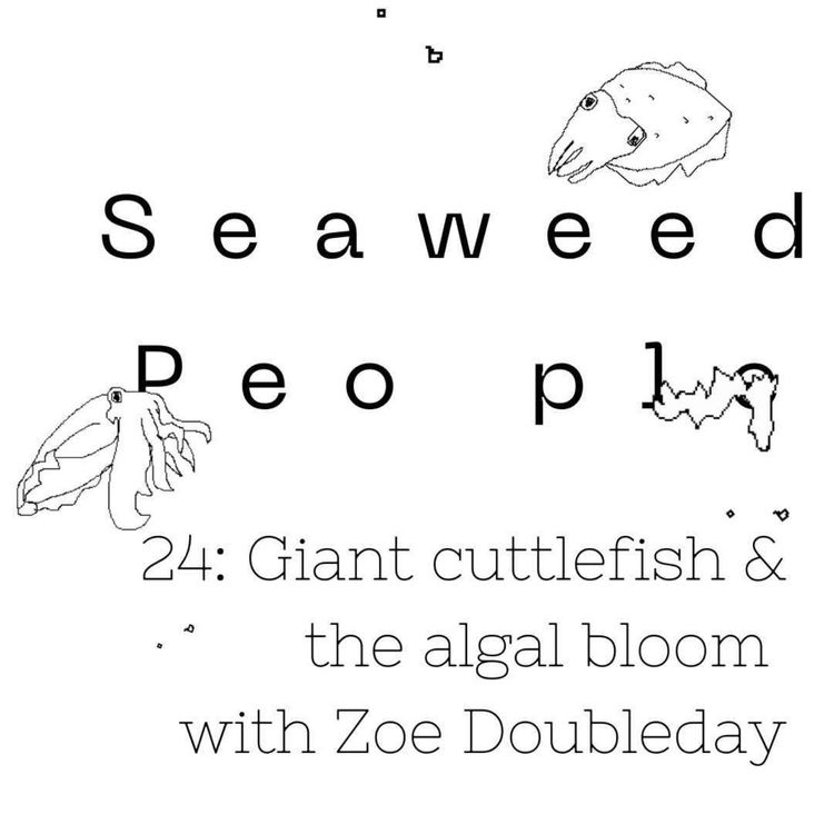 cover art for 24: Giant cuttlefish & the algal bloom with Zoe Doubleday