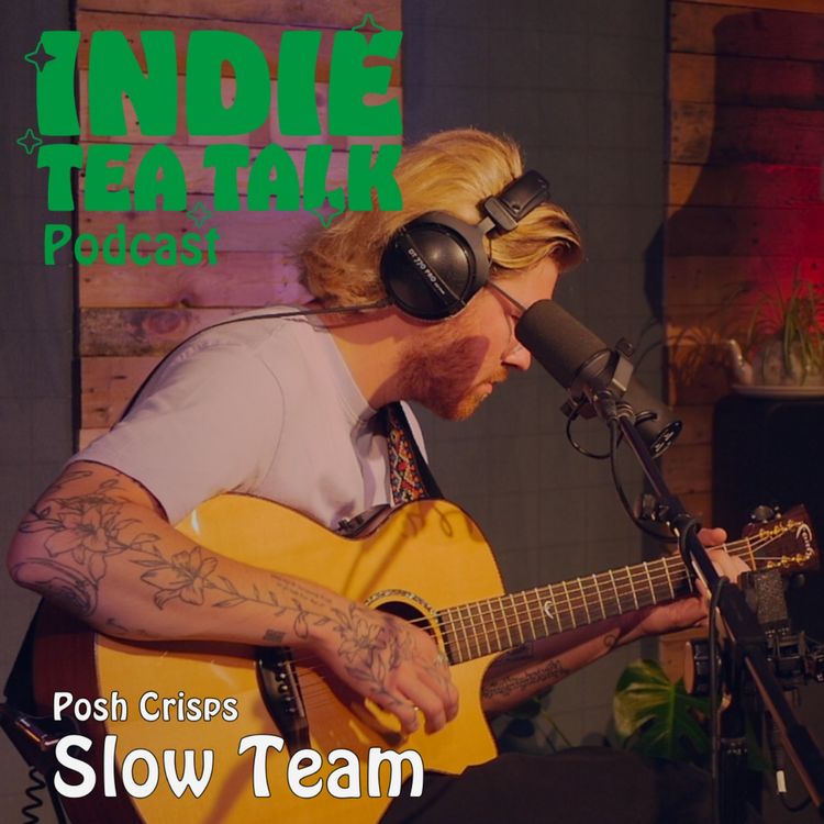 cover art for Slow Team - Posh Crisps