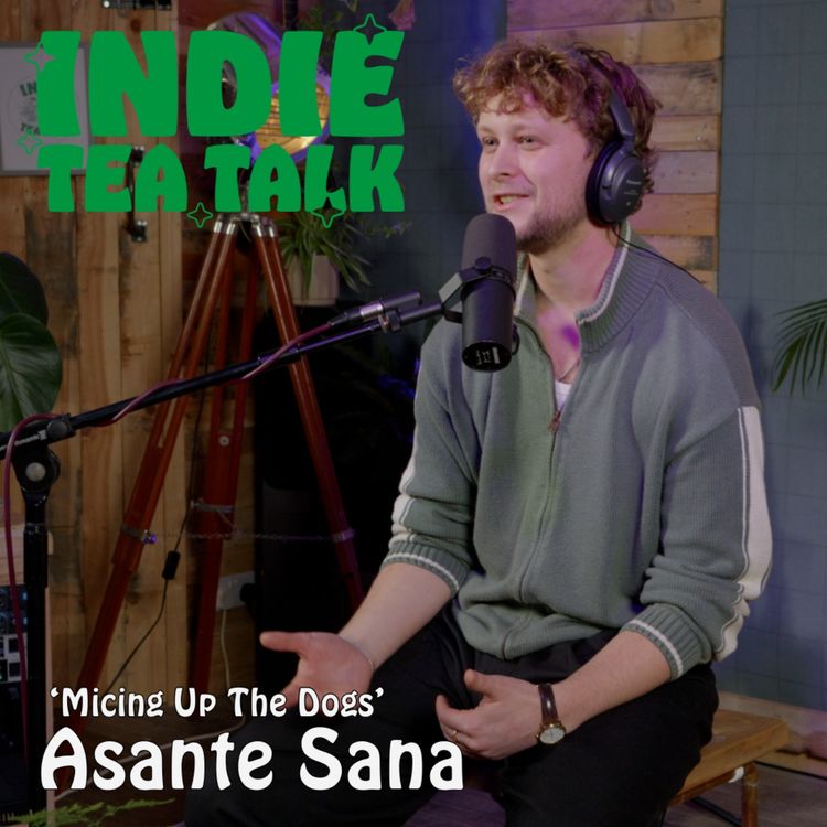 cover art for Asante Sana - Micing Up The Dogs