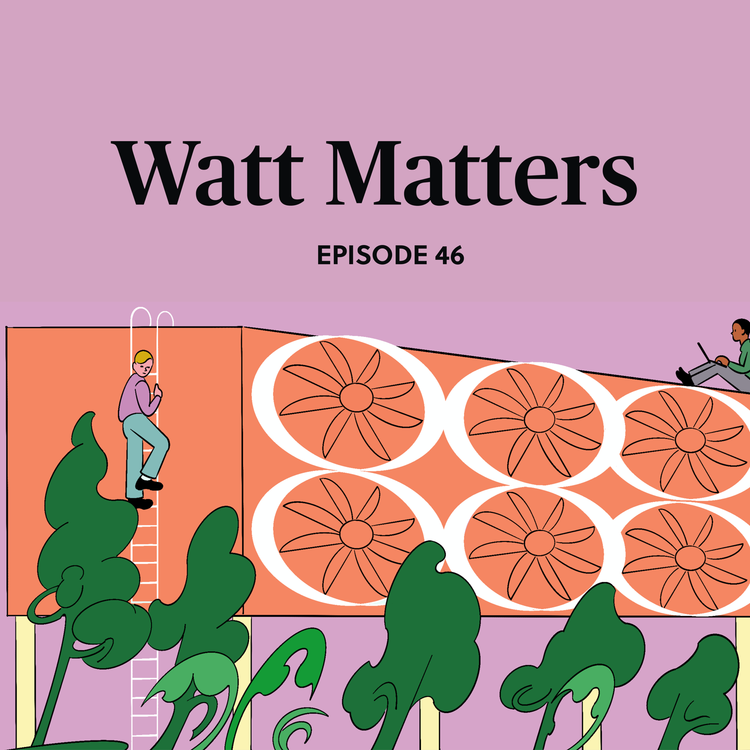 cover art for Putting the "net" in net zero emissions