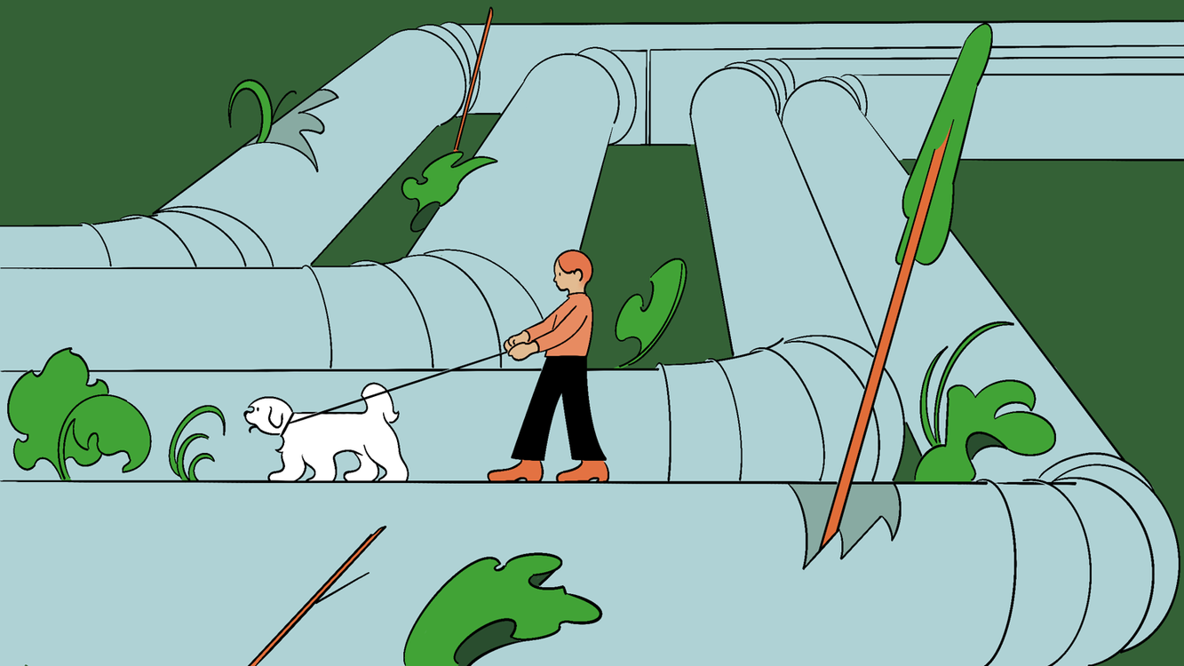 cover art for Indecent proposals