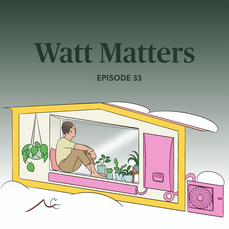 cover art for The future for heat pumps