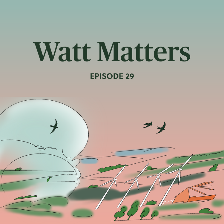 cover art for The problem with wind power