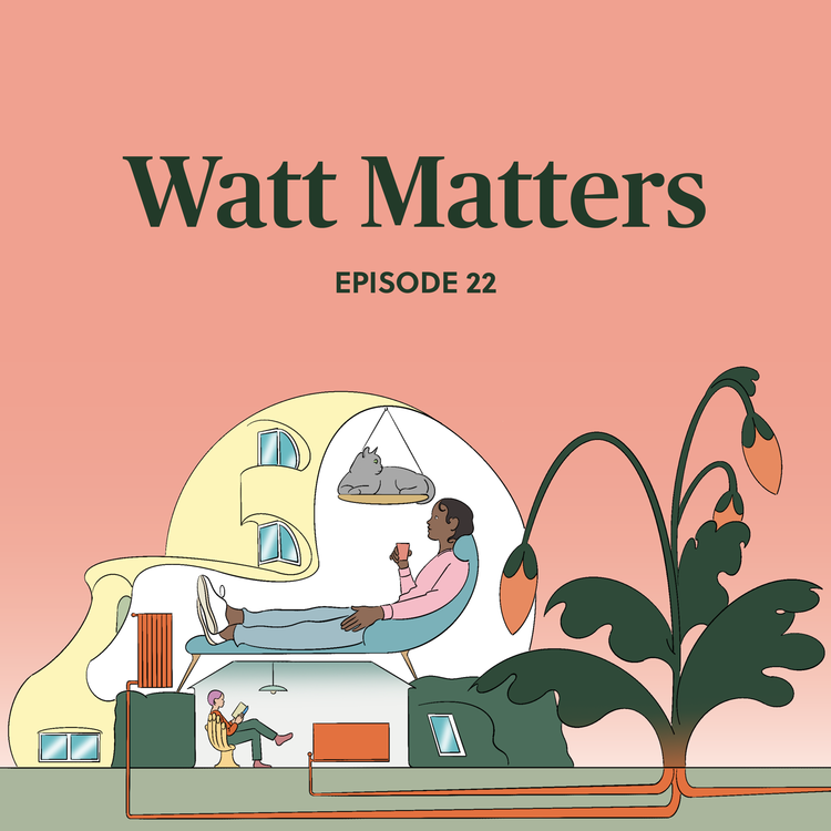 cover art for The heating policy paradox