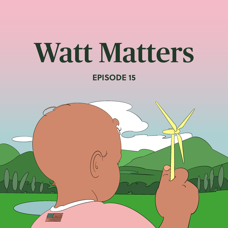 cover art for The American experience