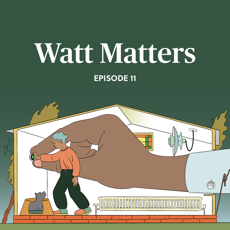 cover art for From efficiency to sufficiency