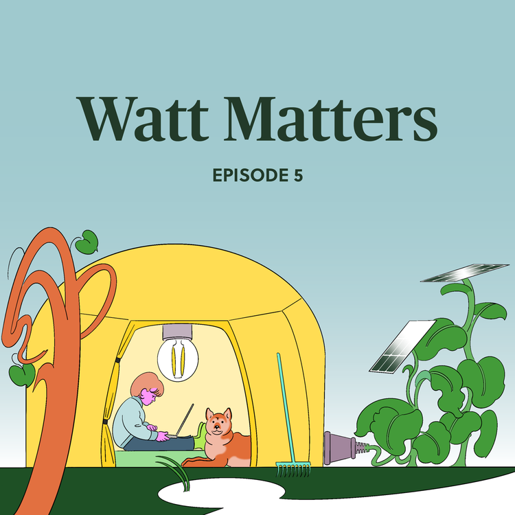 cover art for A market fit-for-purpose