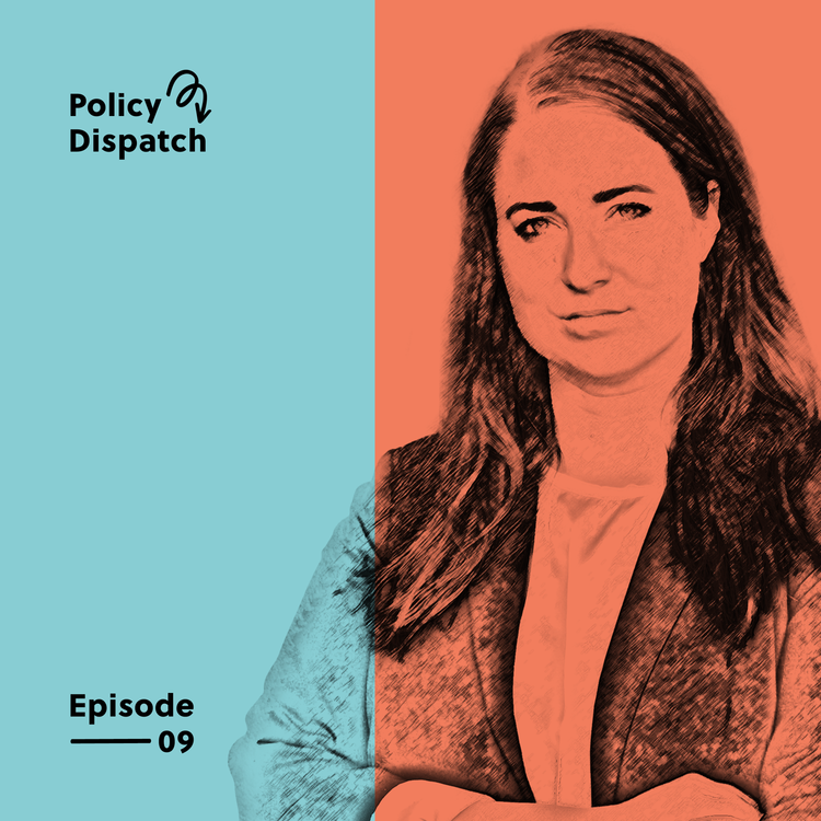 cover art for How to update a carbon market