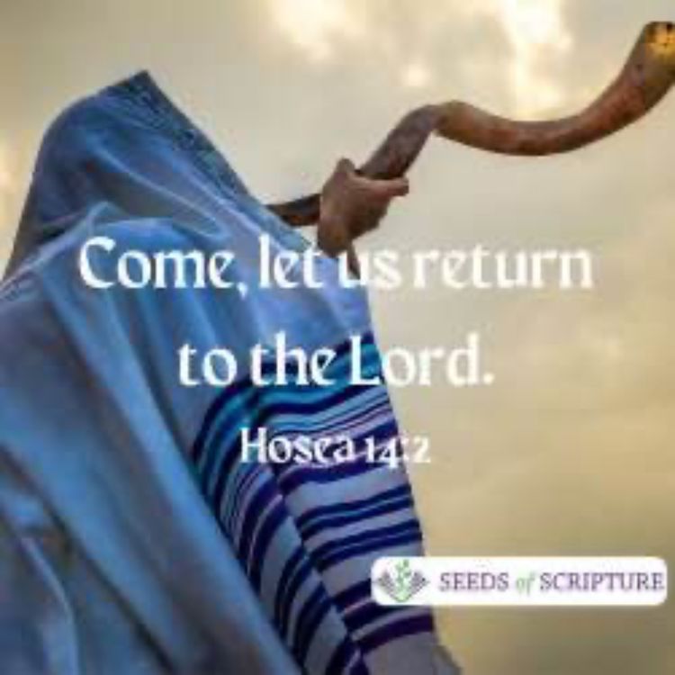 cover art for God’s call to return to Him Hosea 14