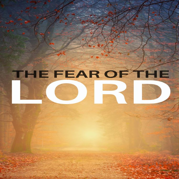 cover art for Fear, the missing factor Jonah 1:10-17