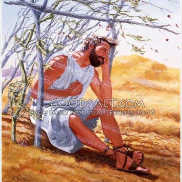 cover art for Lesson from a withered plant (Part 5) Jonah 4