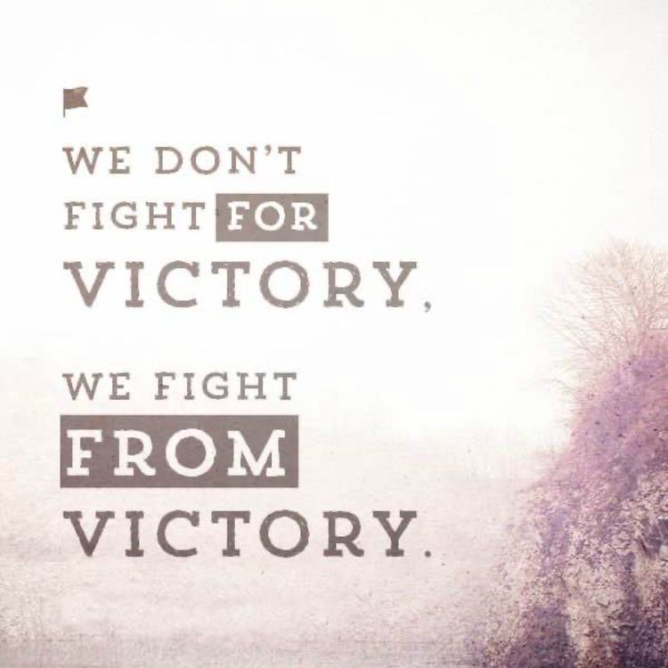 cover art for Our identity: the enemy’s battleground